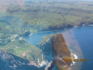 arial view of lake and nearby forest