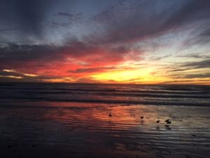 sunrise on ocean with seagulls